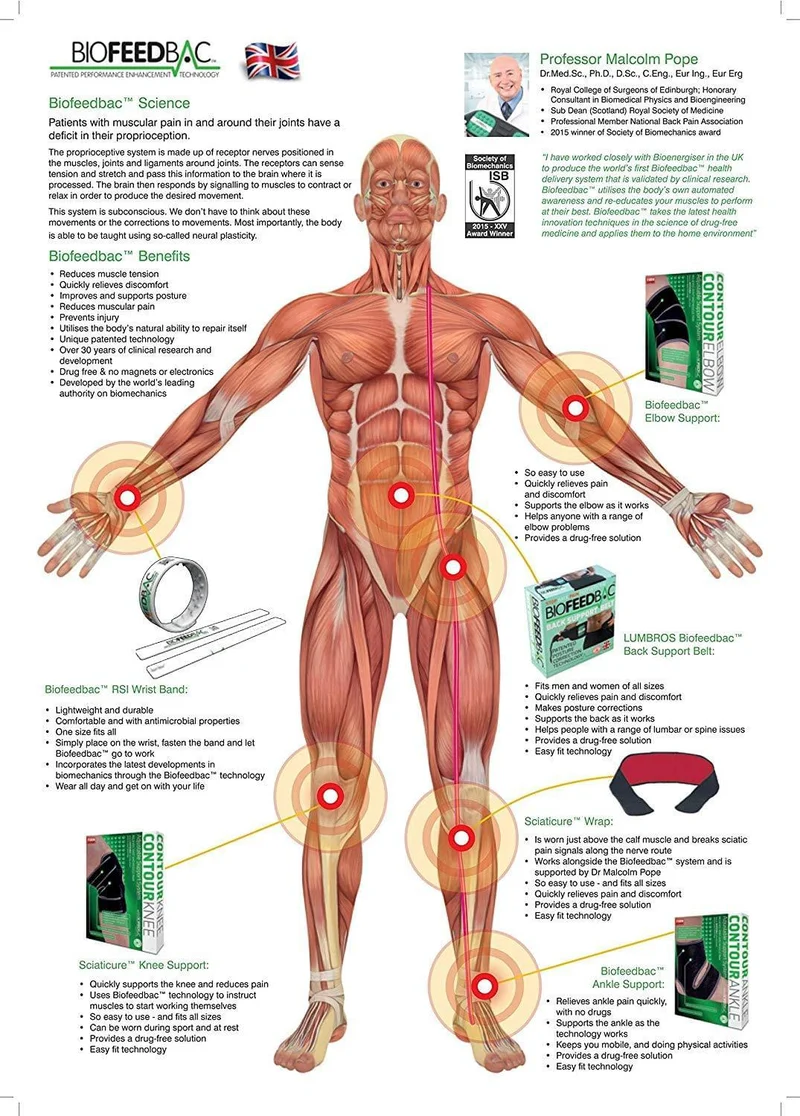 Ceinture de maintien pour posture