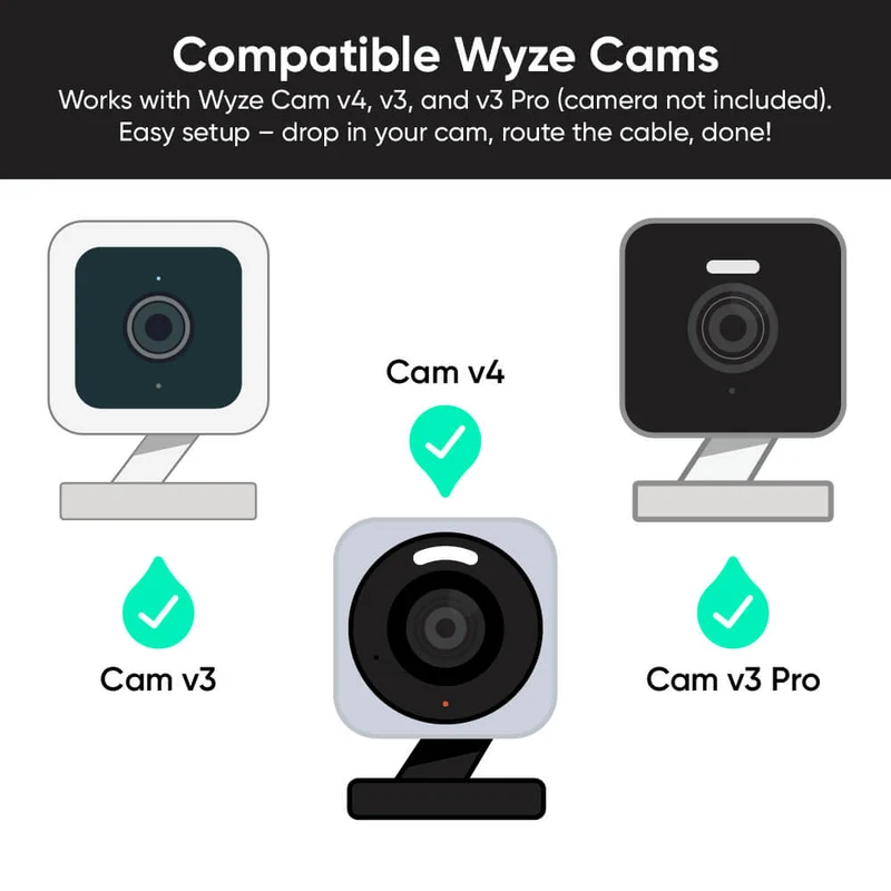 Wyze Cam Vase