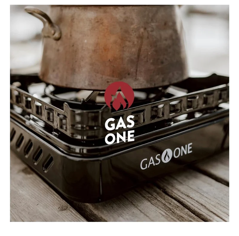 15,000 BTU Propane or Butane Portable Stove Dual Fuel Camping Stove with Carrying Case