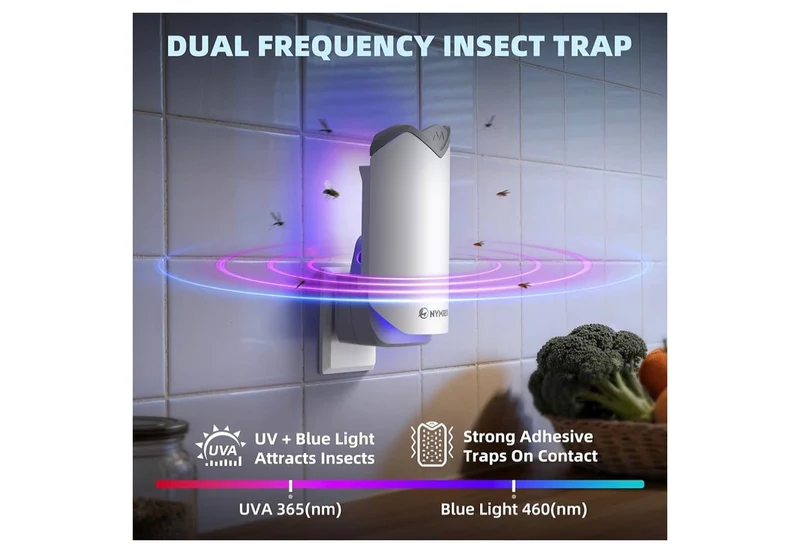 Indoor Fly Trap, Plug-in Flying Insect Trap for Fruit Flies & Gnats 24/7 Blue Light Trap - 2 Bases + 6 Refills
