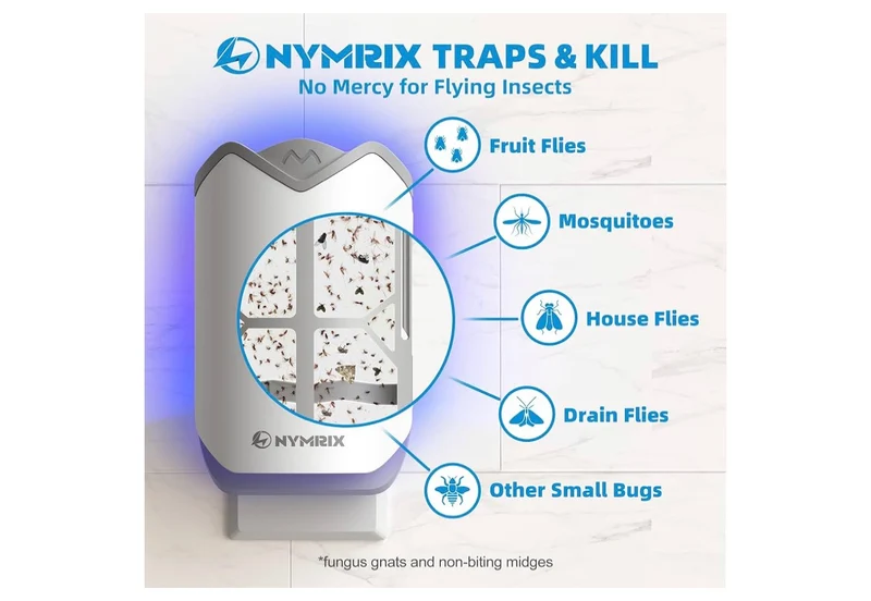 Indoor Fly Trap, Plug-in Flying Insect Trap for Fruit Flies & Gnats 24/7 Blue Light Trap - 2 Bases + 6 Refills