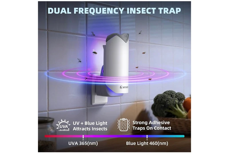 Flying Insect Trap, Plug-in Indoor Fly Trap for Fruit Flies & Gnats24/7 Blue Light Trap - 1 Base + 2 Refills