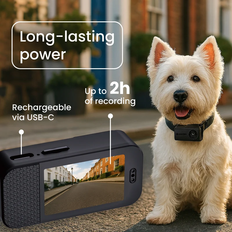 PetPOV HD Pet Camera Collar