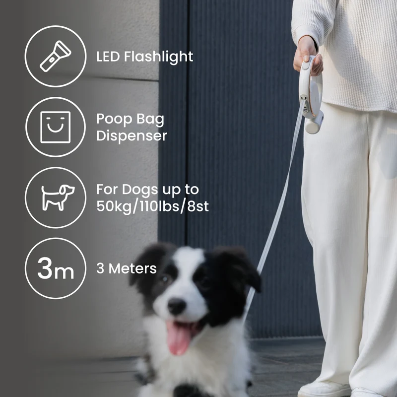 Lumi 4-in-1 Leash with LED torch & bag