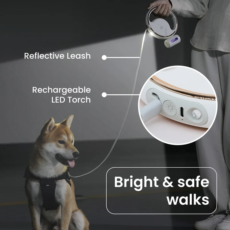 Lumi 4-in-1 Leash with LED torch & bag
