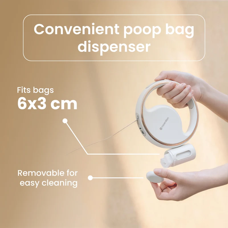 Lumi 4-in-1 Leash with LED torch & bag