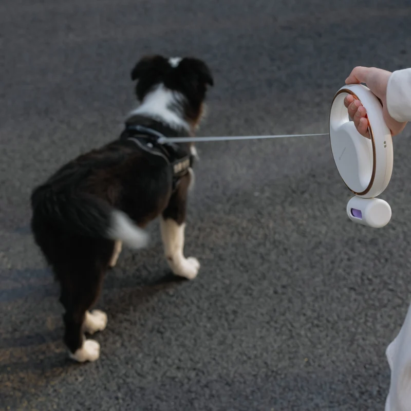 Lumi 4-in-1 Leash with LED torch & bag