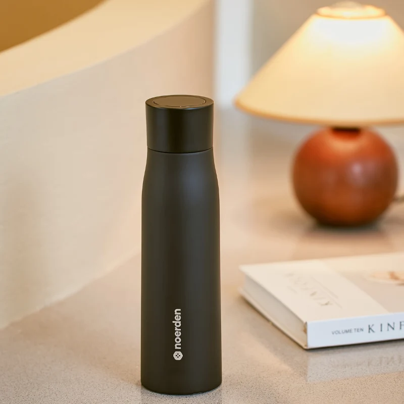 LIZ+ UV Water Bottle - Black