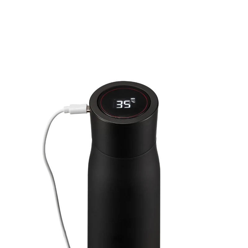 LIZ+ UV Water Bottle - Black