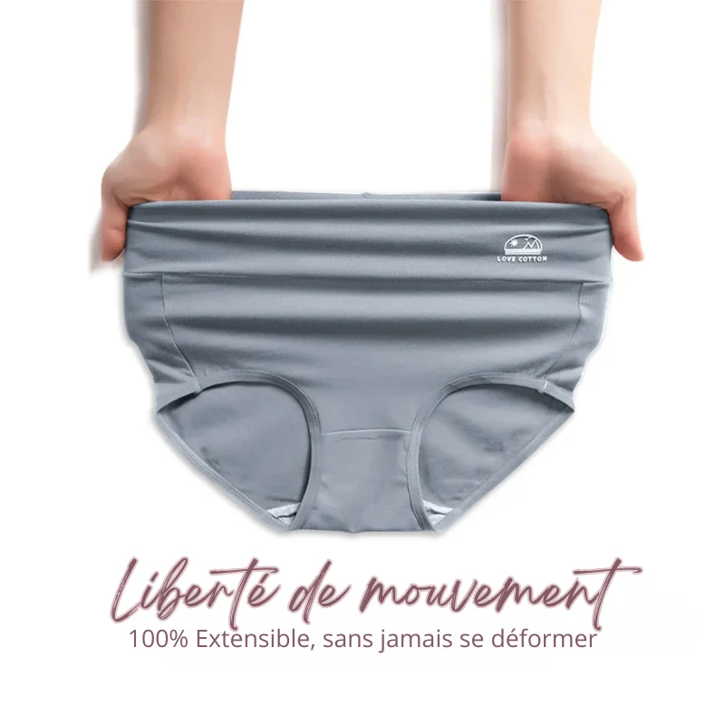 Lot de 5 Culottes Taille en Coton - Ventre Plat & Push-up Fessier