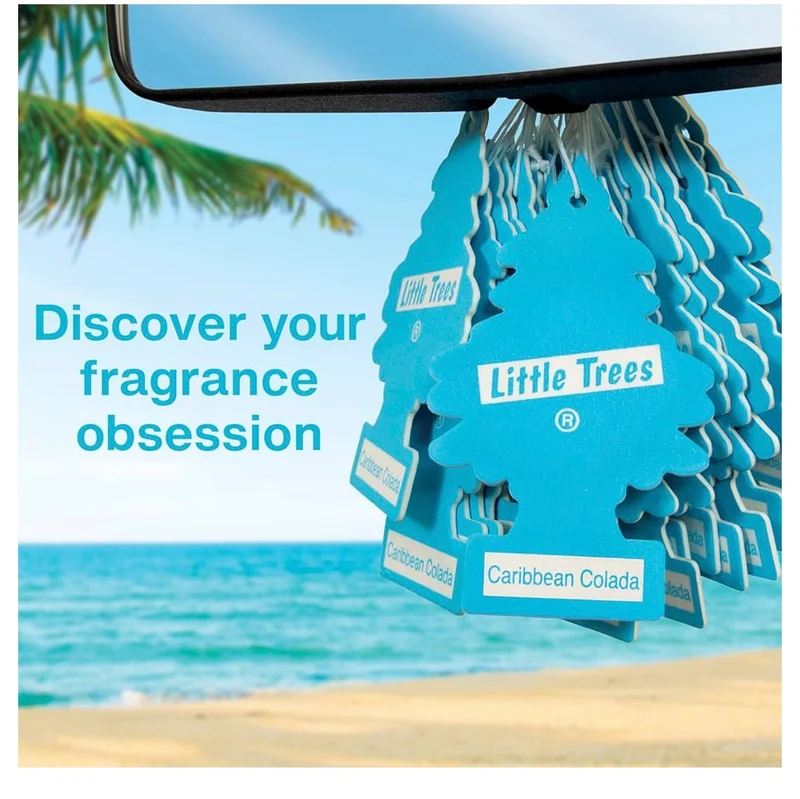 LITTLE TREES Car Air Freshener | Hanging Tree Provides Long Lasting Scent for Auto and Home - (Be Kind)