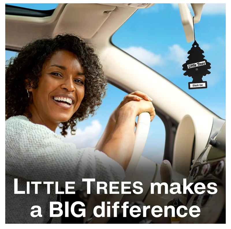 LITTLE TREES Car Air Freshener | Hanging Tree Provides Long Lasting Scent for Auto and Home - (Be Kind)