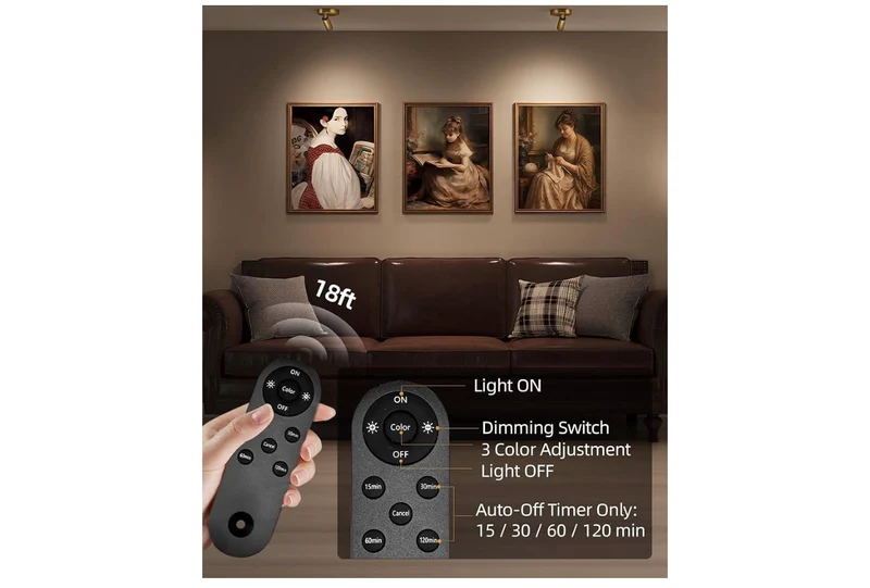 LED Spotlight Indoor, 5500mAh Rechargeable Battery-Powered Picture Lights, Wireless Mini Art Accent Spot Lights with Remote,(4PK -Gold)