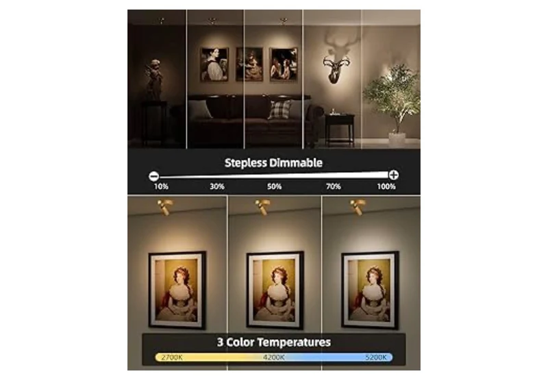 LED Spotlight Indoor, 5500mAh Rechargeable Battery-Powered Picture Lights, Wireless Mini Art Accent Spot Lights with Remote,(4PK -Gold)