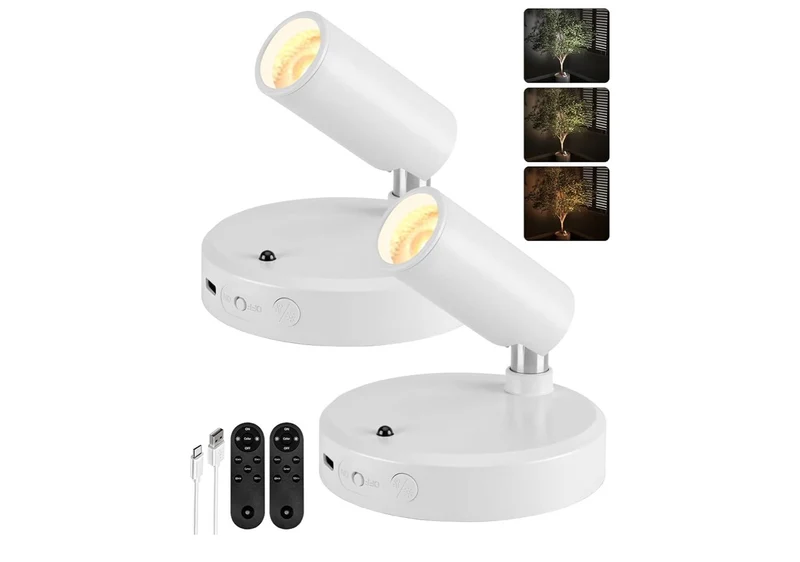 Spot Lights Indoor, 5500mAh Rechargeable Picture Lights w/ Remote, Wireless Mini Art Accent Spotlights with Timer & Dimmable Uplights Indoor for Plants, Display (2pk - White)