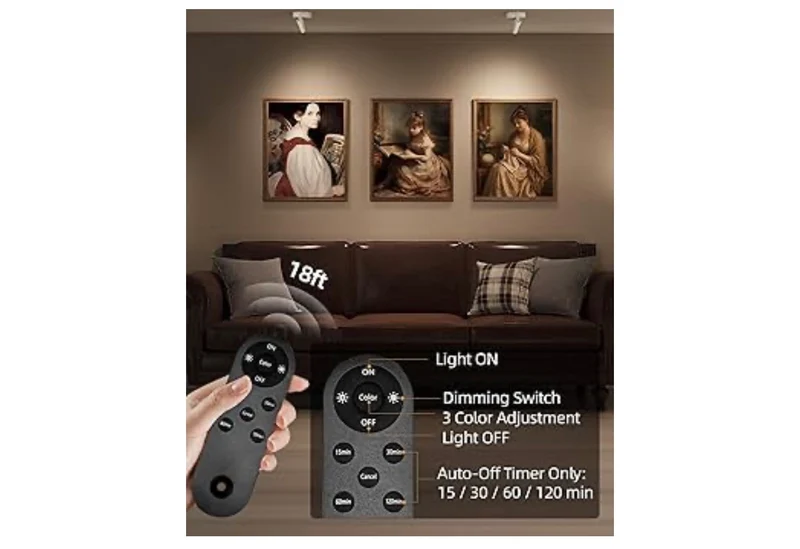 Spot Lights Indoor, 5500mAh Rechargeable Picture Lights w/ Remote, Wireless Mini Art Accent Spotlights with Timer & Dimmable Uplights Indoor for Plants, Display (2pk - White)
