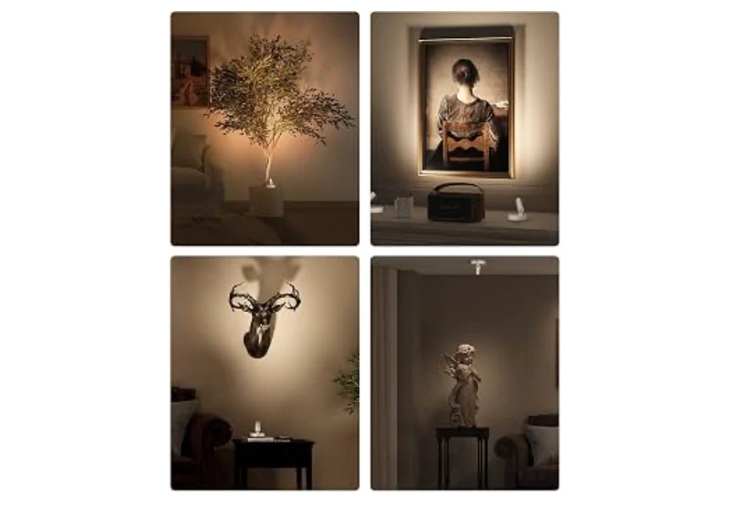 Spot Lights Indoor, 5500mAh Rechargeable Picture Lights w/ Remote, Wireless Mini Art Accent Spotlights with Timer & Dimmable Uplights Indoor for Plants, Display (2pk - White)