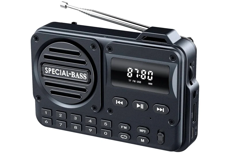 Pocket Radio FM USB-C Charging 2000mAh Rechargeable Excellent Reception Clear Speaker and Headphone Jack,LCD Screen,FM Radio for Walk/Jogging/Gym, Bluetooth/TF.(NO AM) - (Carbon)