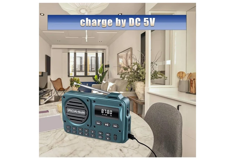 Pocket Radio FM USB-C Charging 2000mAh Rechargeable Excellent Reception Clear Speaker and Headphone Jack,LCD Screen,FM Radio for Walk/Jogging/Gym, Bluetooth/TF.(NO AM) - (Carbon)