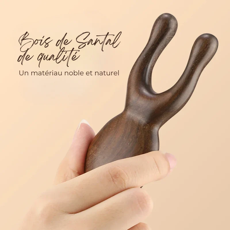 Peigne de Massage Visage & Cou Méridien en Bois de Santal