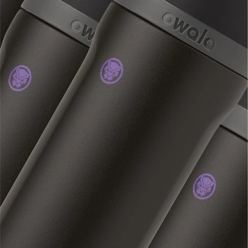 FreeSip Insulated Stainless Steel Water Bottle w/ Straw BPA-Free 24 oz - Marvel Black Panther
