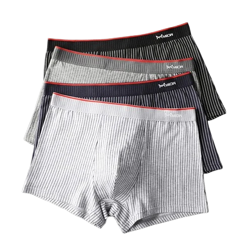 Lot de 4 Boxers Rayés en Coton Biologique