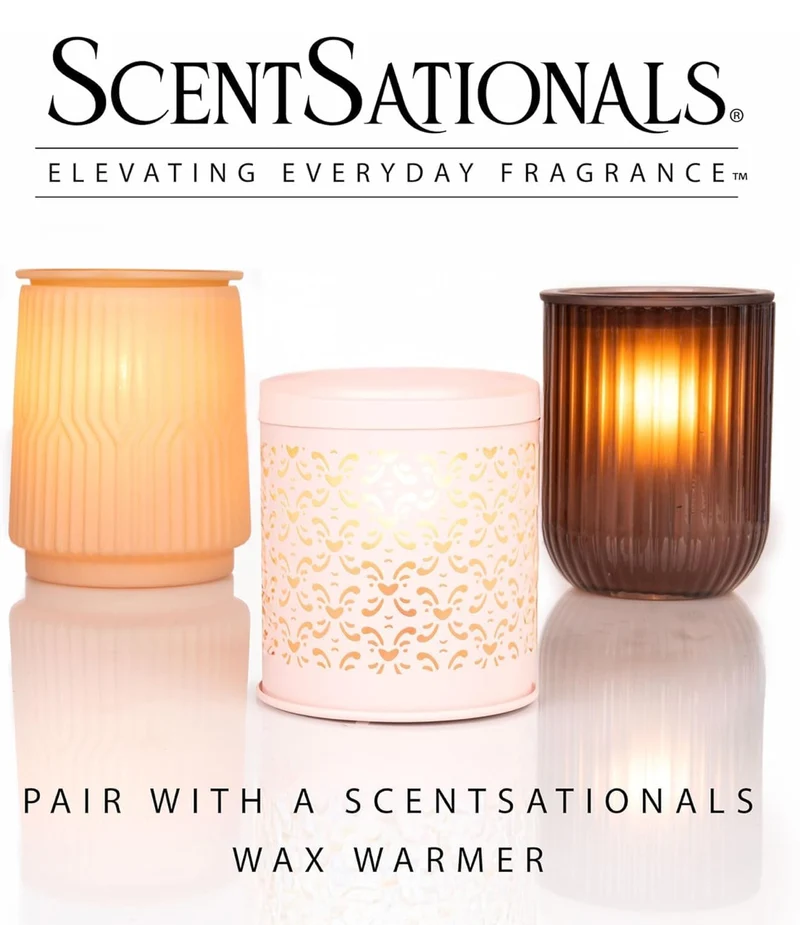 Scentsationals Fall Wax Melts Long Lasting Wax Cubes – Includes Warm Apple Pie, Vanilla Pine, Fallen Leaves & Feelin Cozy - 10oz (PACK OF 4)