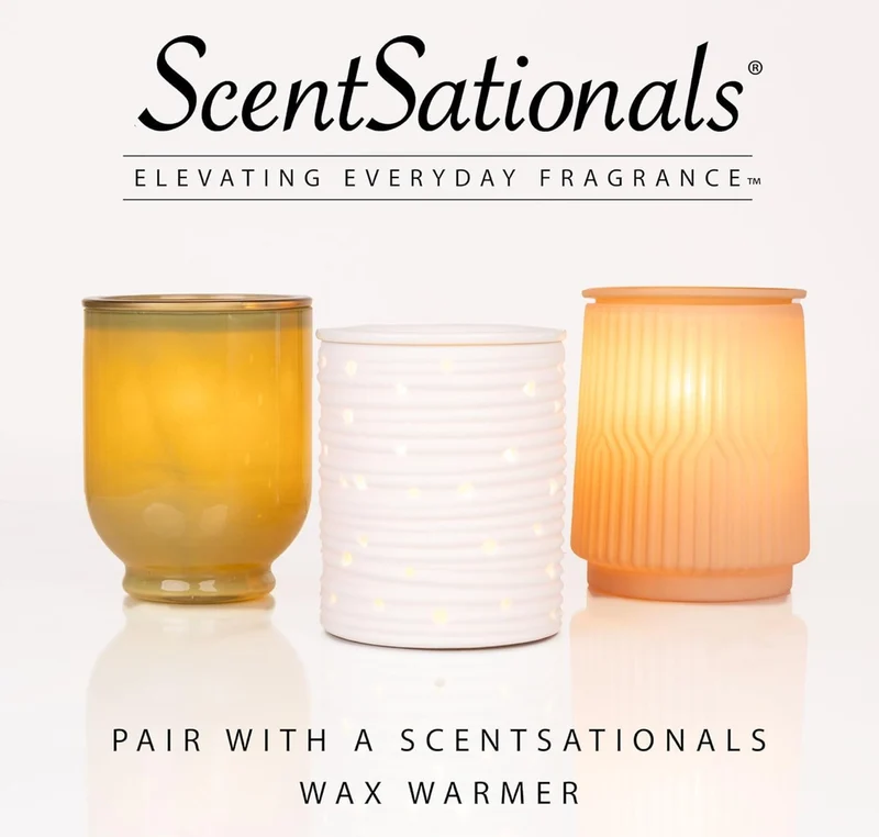 Scentsationals Wax Melts Strong Scent - Eucalyptus Snow - Long Lasting Scented Wax Cubes for Warmers - 10oz (PACK OF 4)