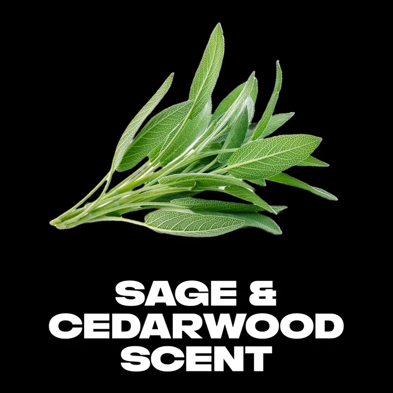 AXE Aluminum Free Deodorant Stick Sage & Cedarwood For Long Lasting Odor Protection Formulated Without Aluminum (3oz) -Pack of 2