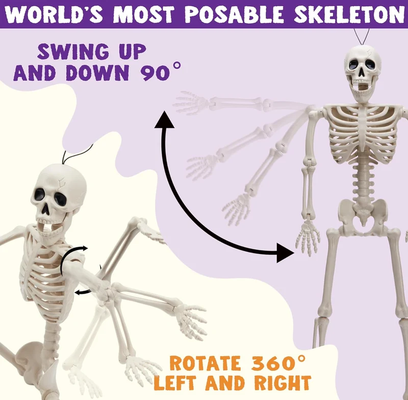 JOYIN 5 PCS Posable Halloween Skeleton Decor 16 Inches, Full Body Posable Joints Hanging Skeletons for Halloween Decorations, Graveyard Props, Haunted House Accessories, Spooky Scene Party Favors