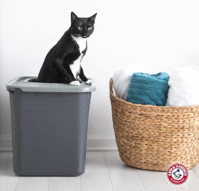 Arm & Hammer Premium Top Entry Litter Box with Filter to Clean Paws and Microban