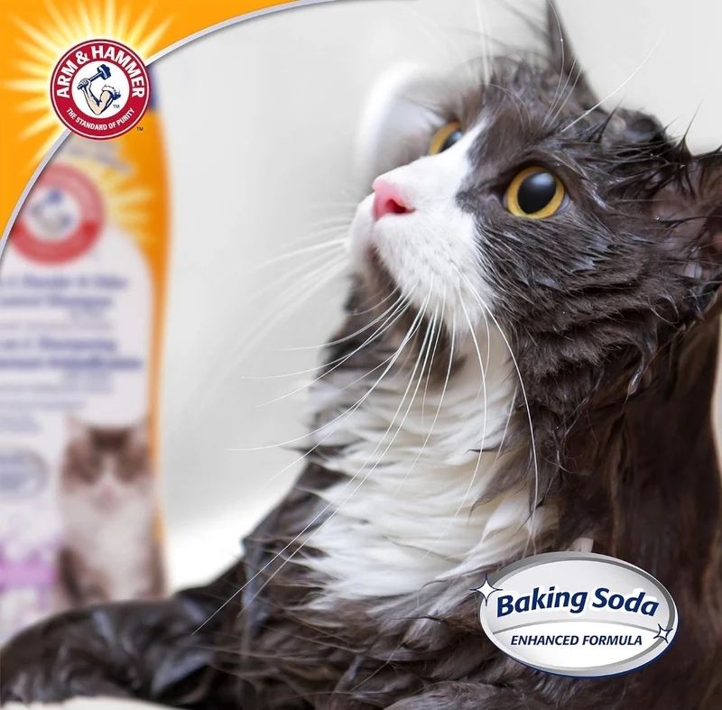 Arm & Hammer 2-in-1 Deodorizing & Shampoo for Cats Moisturizes and Deodorizes- Lavender Chamomile Scent (Pack of 6)