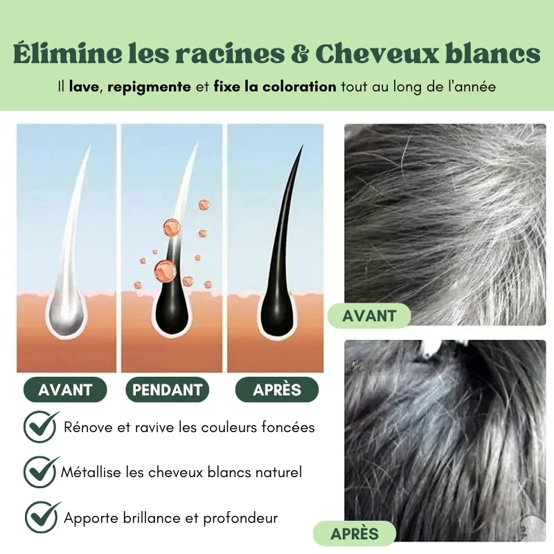 5x Shampoings colorants naturels