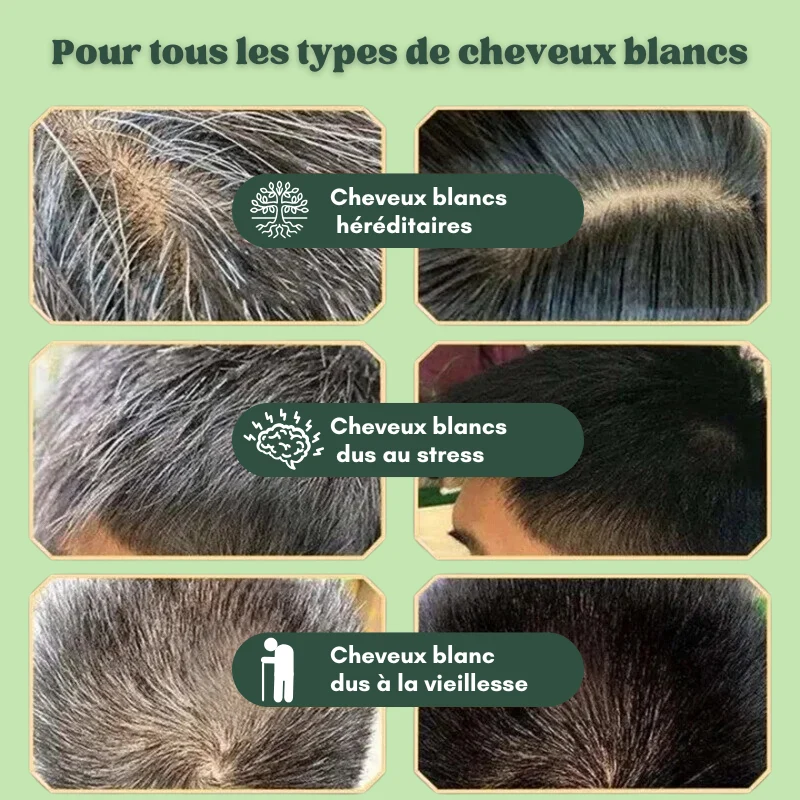 5x Shampoings colorants naturels