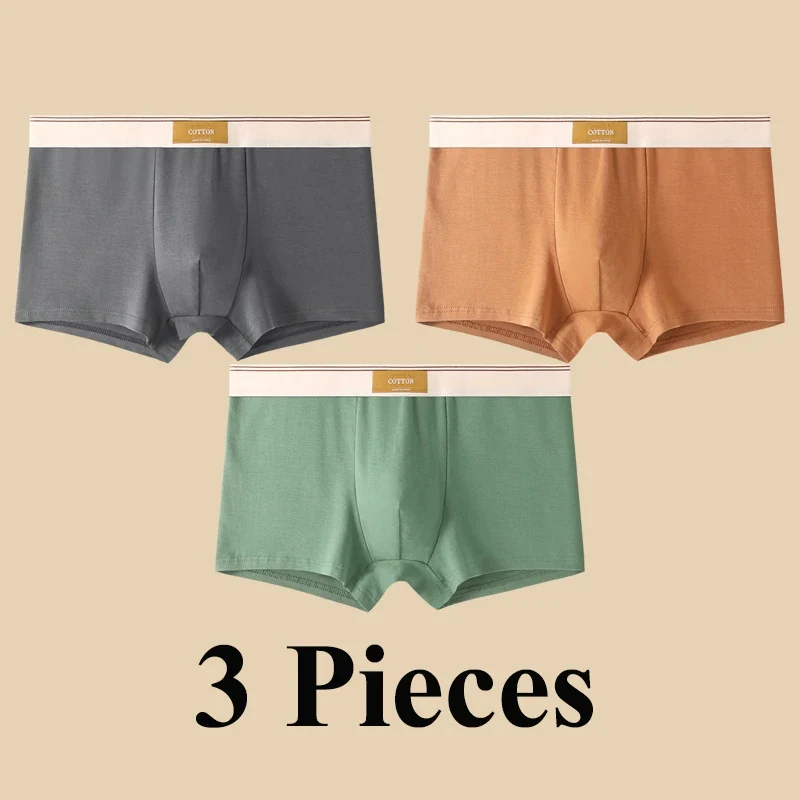 Lot de 3 boxers 100% Coton - Grande Taille