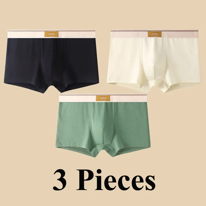 Lot de 3 boxers 100% Coton - Grande Taille