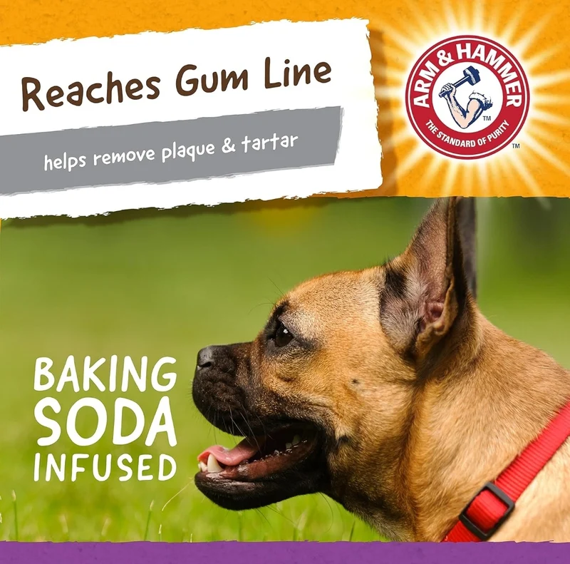 Arm & Hammer for Pets Super Treadz Mini Gator Dental Chew Toy for Dogs Best Dental Dog Chew Toy Dog Dental Chew Toys Reduce Plaque & Tartar Buildup Without Brushing (Pack of 1)