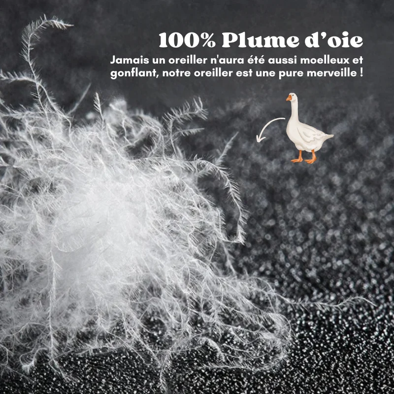 Oreiller d'hôtel de luxe - Coton & Plume d'oie