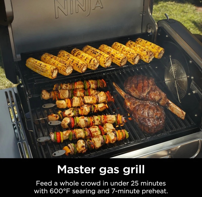 Ninja FlexFlame, Grill and Smoker, Electric and Propane Grill, Roaster, BBQ Grill, 5-in-1 Cooking System, 3 Burner, Digital Control, Outdoor Cooking, Griddle, Pizza Maker - Stainless Steel (PG301)