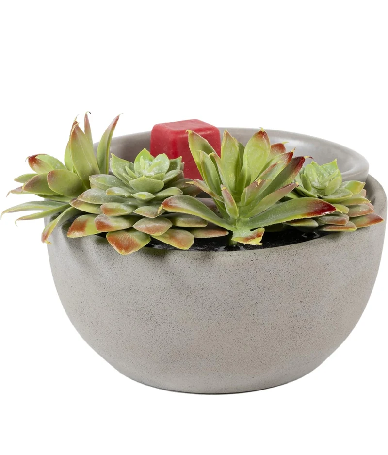 Scentsationals Wax Warmer Boho Collection, Scented Wax Cube Melter, Electric Fragrance and Oil Burner - (Succulent Bowl)