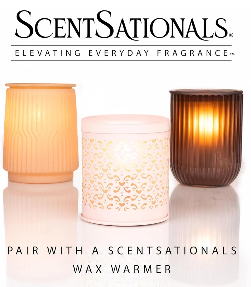 Scentsationals Wax Melts Moodscapes – Includes Zen, Illusion, Enchanted & Dream Cloud – 10oz (Pack of 4)