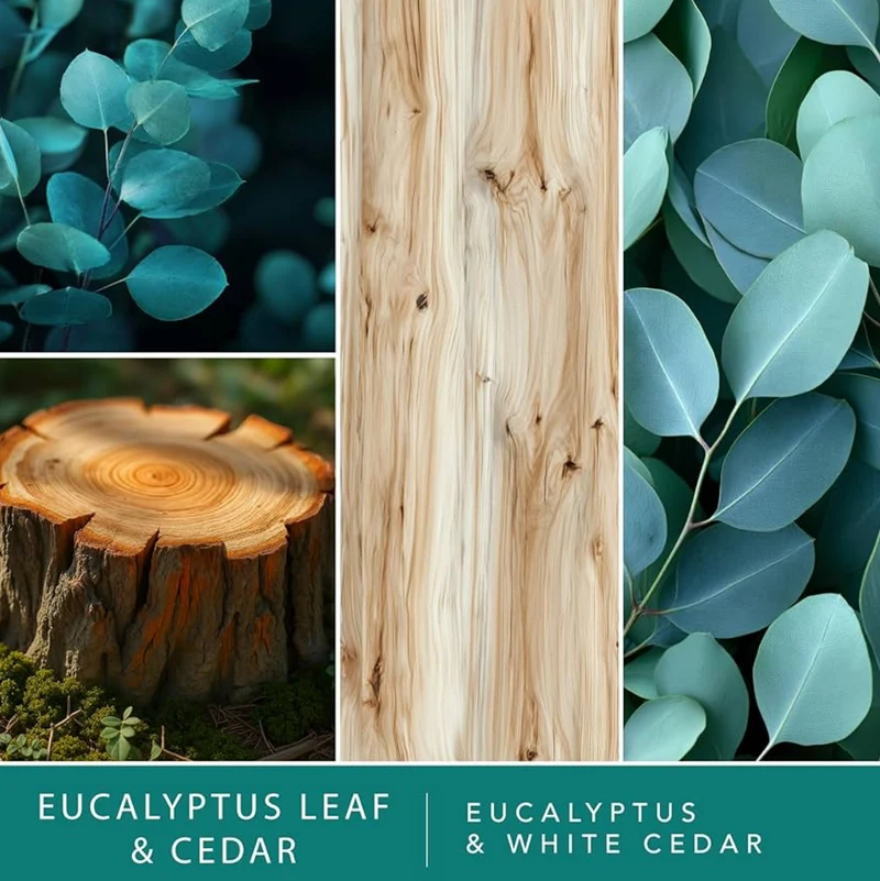 ScentSationals Eucalyptus Leaf & Cedar Fragrance Oil Plug In Air Freshener Refills 3-Pack - Works w/ Scentsationals Wall Plugs - Packaging May Vary
