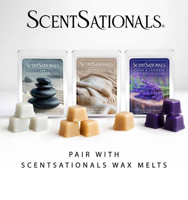 Scentsationals Wax Warmer, for Scented Wax Melts- Vee - Fragrance Warmer for Cubes and Tarts