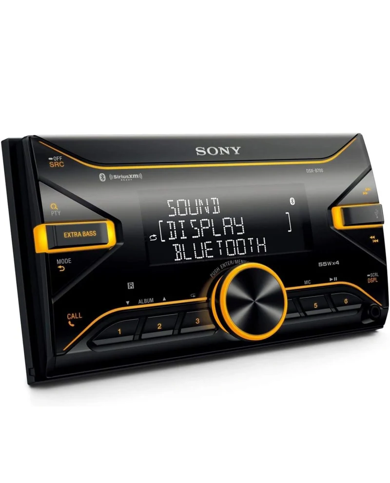 Sony DSX-B700 Media Receiver with Bluetooth Technology