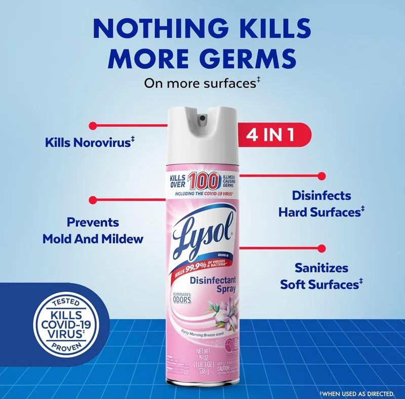 Lysol Disinfectant Spray, Sanitizing and Antibacterial Spray, For Disinfecting and Deodorizing, Early Morning Breeze, 1 Count, 12.5 fl oz each, Packaging may vary