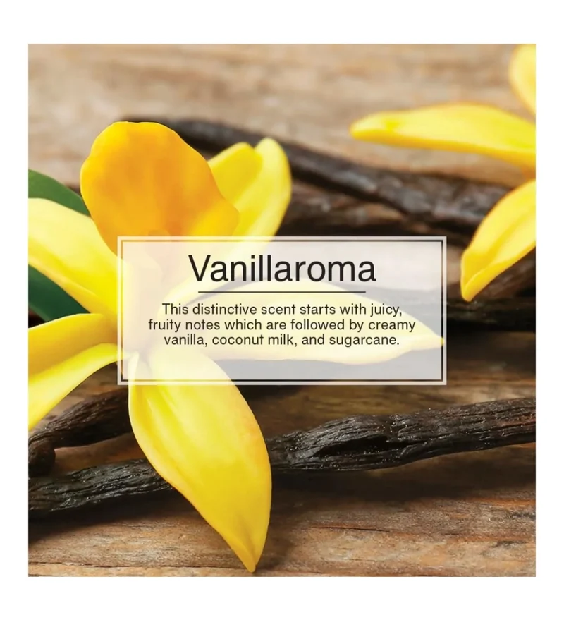 LITTLE TREES Car Air Freshener Xtra Strength Long-Lasting Scent Extra Boost -Vanillaroma (24)