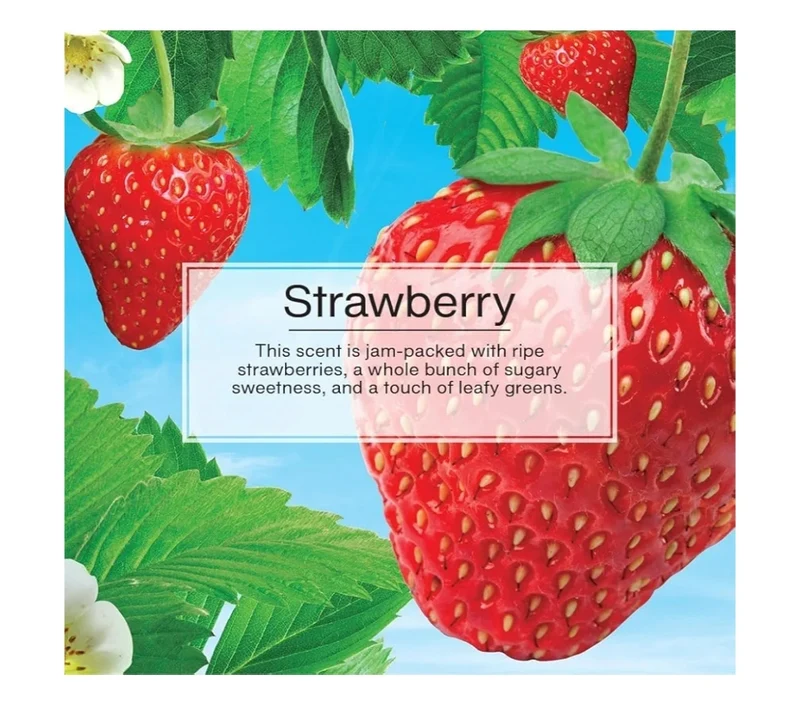 LITTLE TREES Car Air Freshener Spray Long-Lasting Scent On-the-go Freshness -Strawberry (6)
