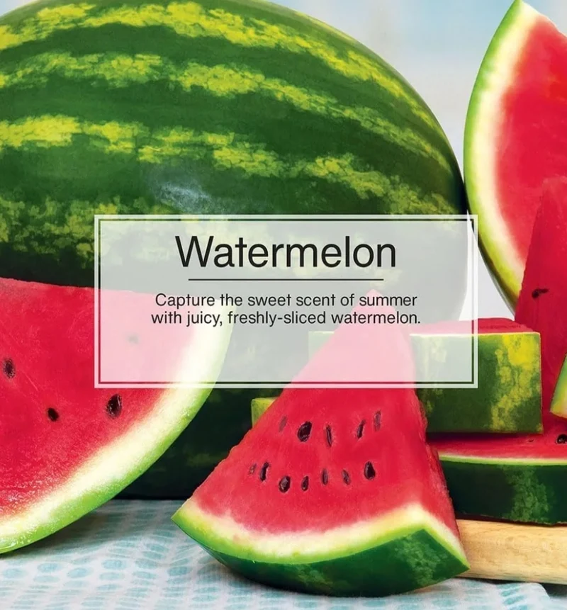 LITTLE TREES Car Air Freshener Vent Wrap Long Lasting Scent - Watermelon (16)