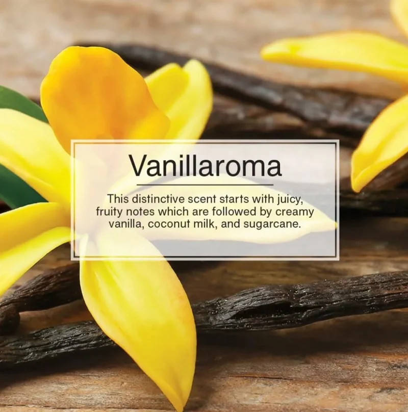 LITTLE TREES Car Air Freshener Vent Wrap Scent, Invisibly Fresh - Vanillaroma (16)