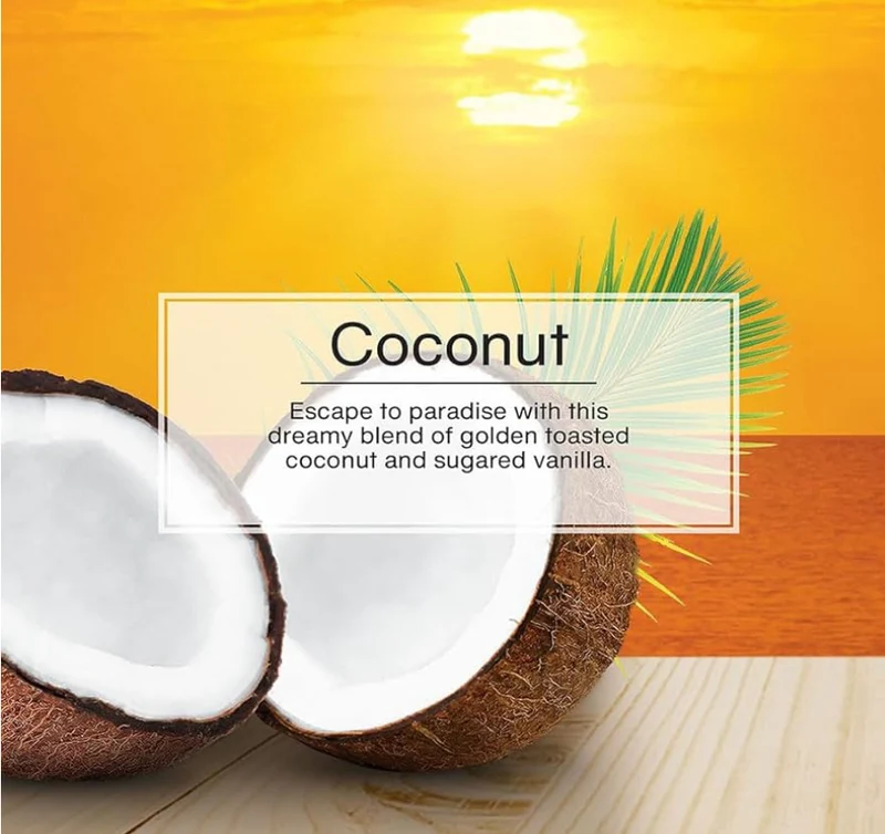LITTLE TREES Car Air Freshener Hanging Tree Lasting Scent - Coconut (24)